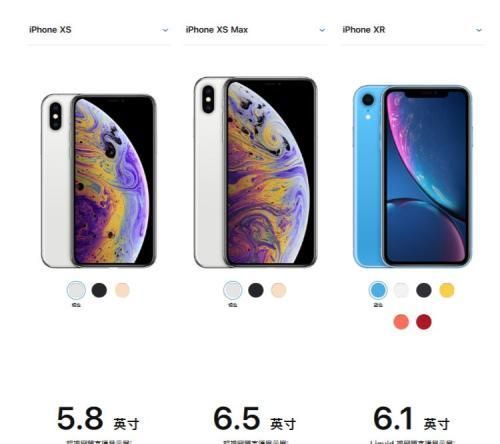 苹果最大iPhone双卡双待 新iPhone价格2个肾都不够买？